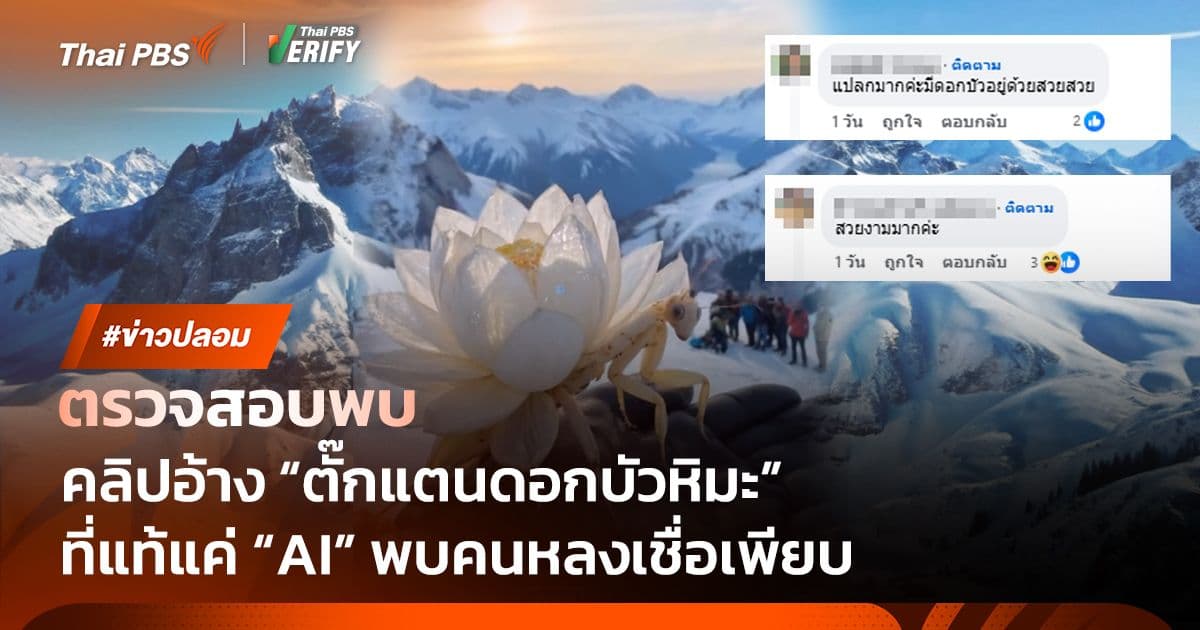 ตรวจสอบพบ : คลิป “ตั๊กแตนดอกบัวหิมะ” คนดู 10 ล้านครั้ง ที่แท้สร้างจาก AI