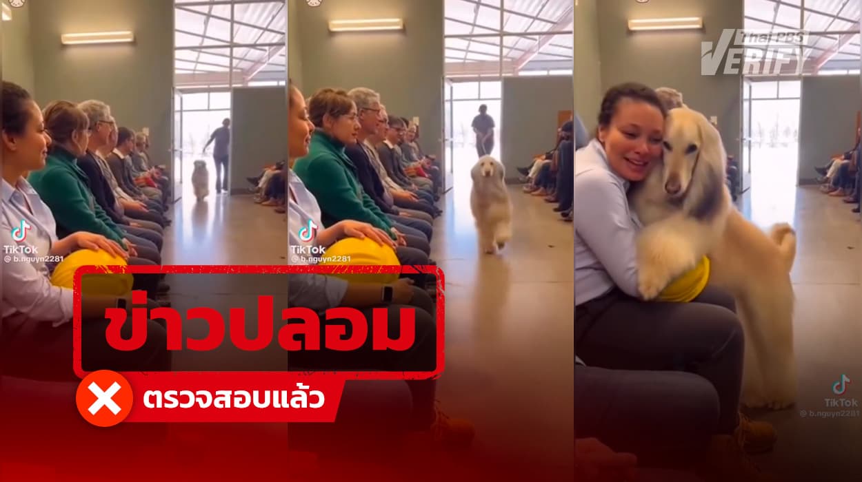 คลิปสุดซึ้ง “น้องหมาเลือกเจ้าของเอง” จนสะเทือนใจชาวเน็ตนับล้าน ที่แท้เป็นคลิป AI