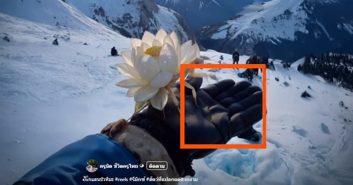verified: “Snow Lotus Grasshopper” clip with 10 million views verified as AI-Generated