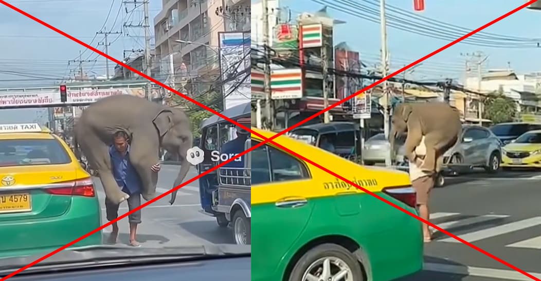 ตรวจสอบแล้ว : คลิปคนแบกช้างกลางถนน สร้างจาก AI