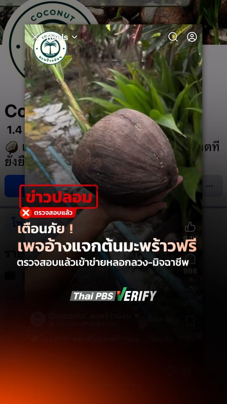 เตือนภัย ! เพจอ้างแจกต้นมะพร้าวฟรี ตรวจสอบแล้วเข้าข่ายหลอกลวง-มิจฉาชีพ : Thai PBS Verify