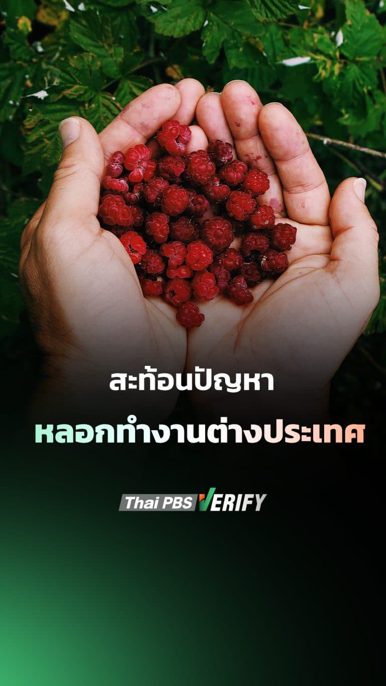 สะท้อนปัญหาหลอก “ทำงานต่างประเทศ”