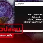 โพสต์อ้าง “ไวรัสนิปาห์” โผล่ศิริราช-จันทบุรี กรมควบคุมโรคยัน ไทยยังไม่พบผู้ป่วย