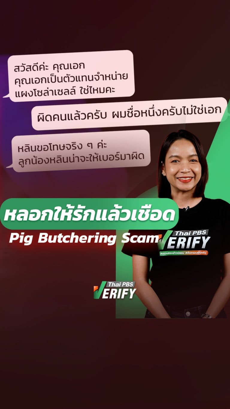 Pig Butchering Scam “หลอกให้รักแล้วเชือด” : Thai PBS Verify