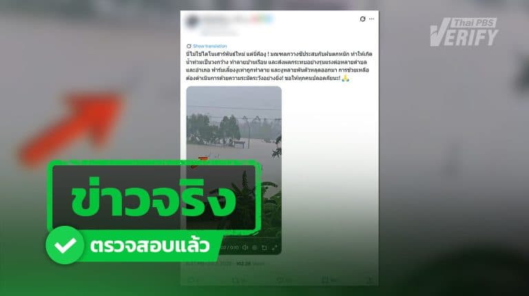 คลิปงูลอยน้ำ จากน้ำท่วมกว่างซี ประเทศจีน เป็นคลิปจริงไม่ใช่ AI