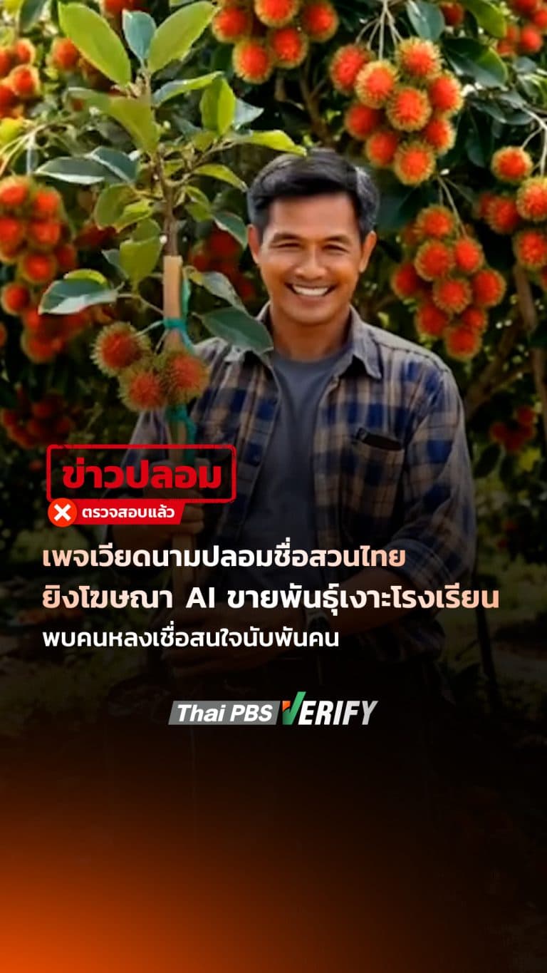 เพจเวียดนามปลอมสวนไทย ยิงโฆษณา AI ขายพันธุ์เงาะโรงเรียน พบคนหลงเชื่อสนใจนับพันคน : Thai PBS Verify