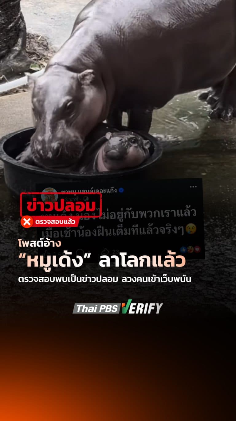 โพสต์อ้าง “หมูเด้ง” ลาโลกแล้ว ตรวจสอบพบเป็นข่าวปลอม ลวงคนเข้าเว็บพนัน : Thai PBS Verify