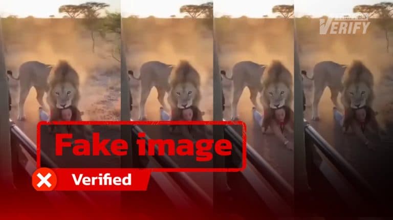 Viral Video Showing Lion Dragging Woman Reaches 3 Million Views, Revealed to Be AI-Generated
