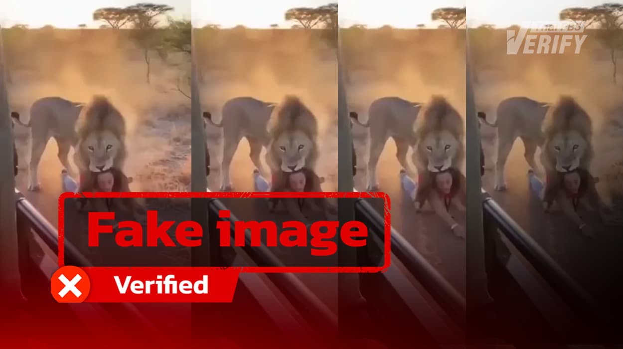 Viral Video Showing Lion Dragging Woman Reaches 3 Million Views, Revealed to Be AI-Generated