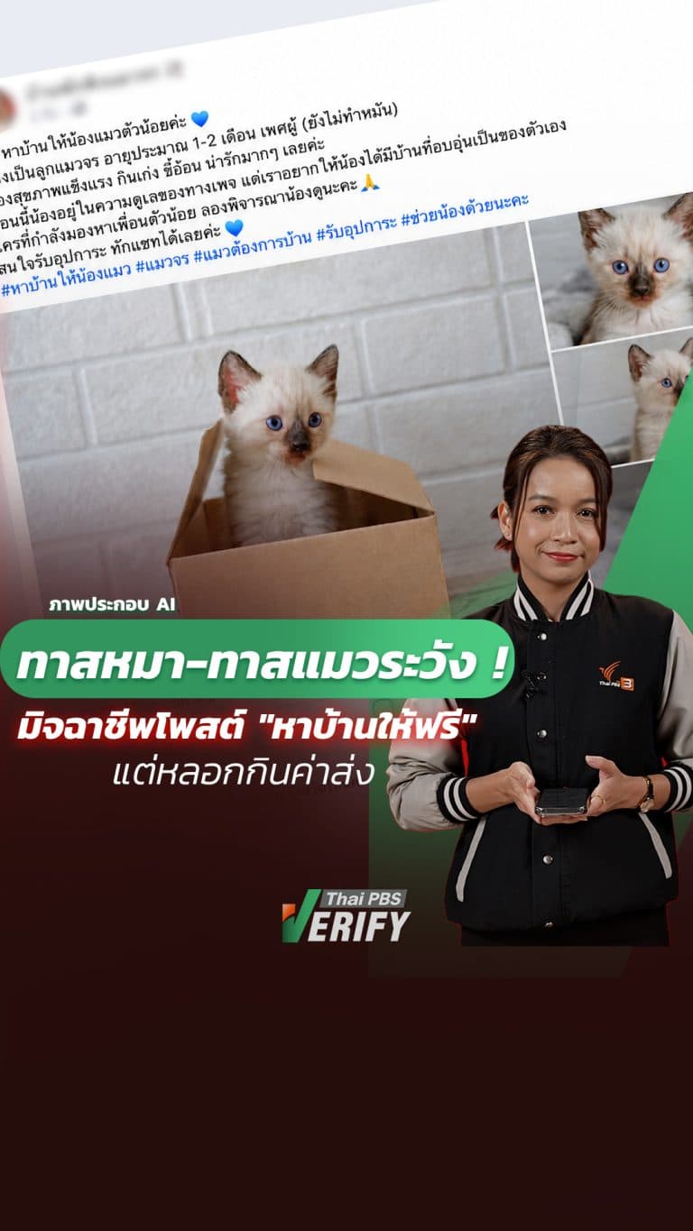 ทาสหมา-ทาสแมวระวัง! Thai PBS Verify เตือนมิจฉาชีพโพสต์ “หาบ้านให้ฟรี” แต่หลอกกินค่าส่ง : Thai PBS Verify