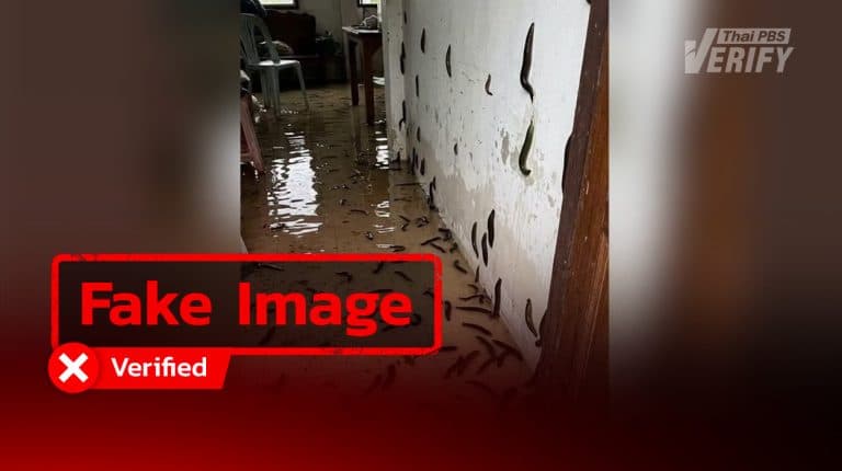 Fake Image: House overrun by leeches after floods actually AI-generated