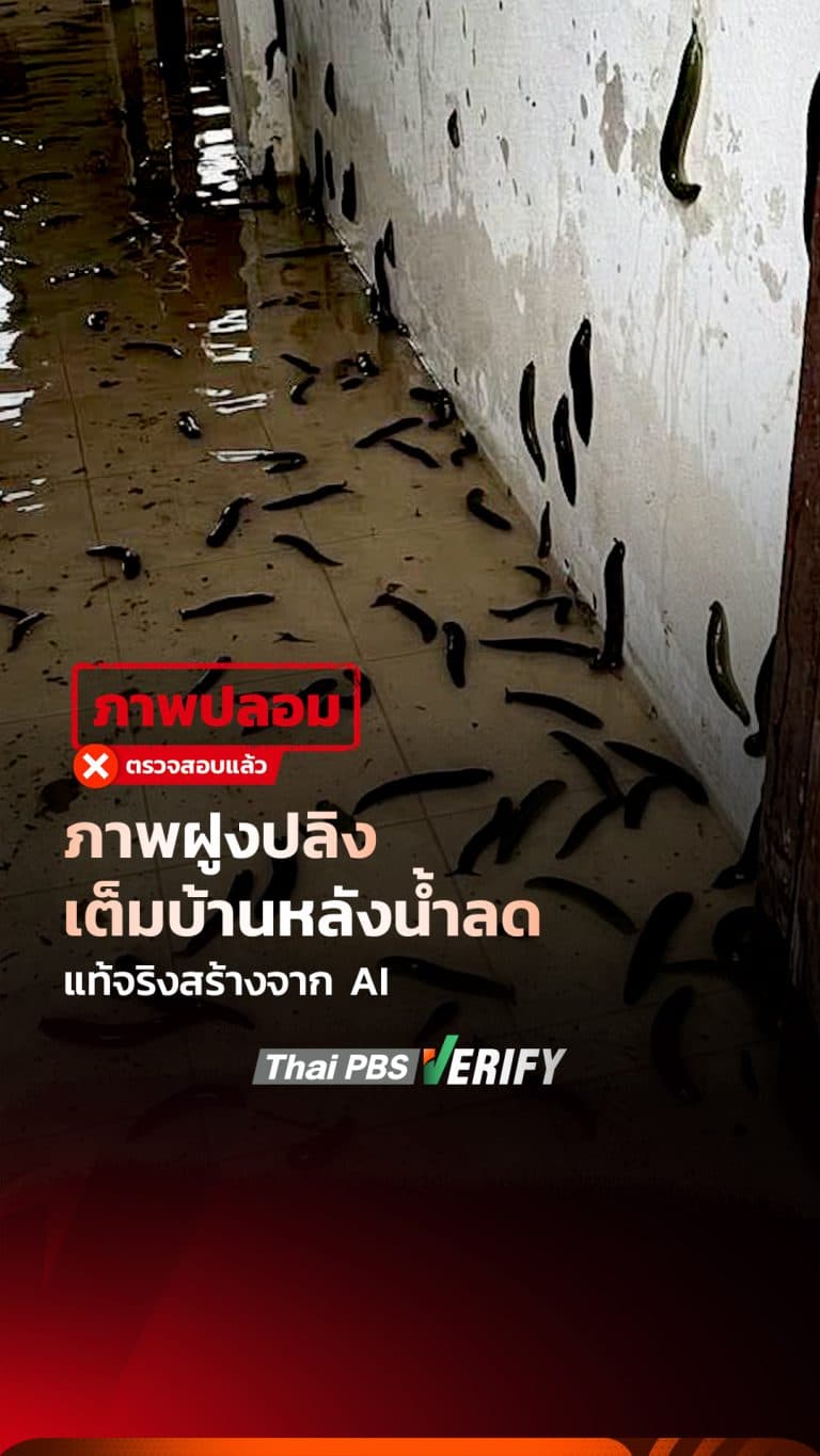 ภาพฝูงปลิงเต็มบ้านหลังน้ำลด แท้จริงสร้างจาก AI : Fact-Check ให้ชัวร์ กับ Thai PBS Verify